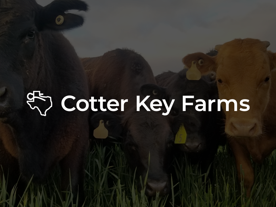 cotter key farms